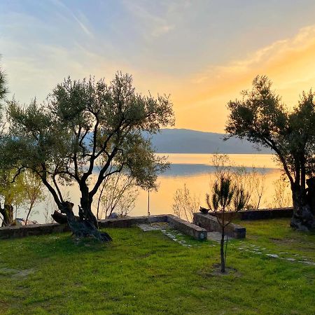 Seafront Traditional Stone House In Sunset Olive Grove - B Alyfanta Zewnętrze zdjęcie