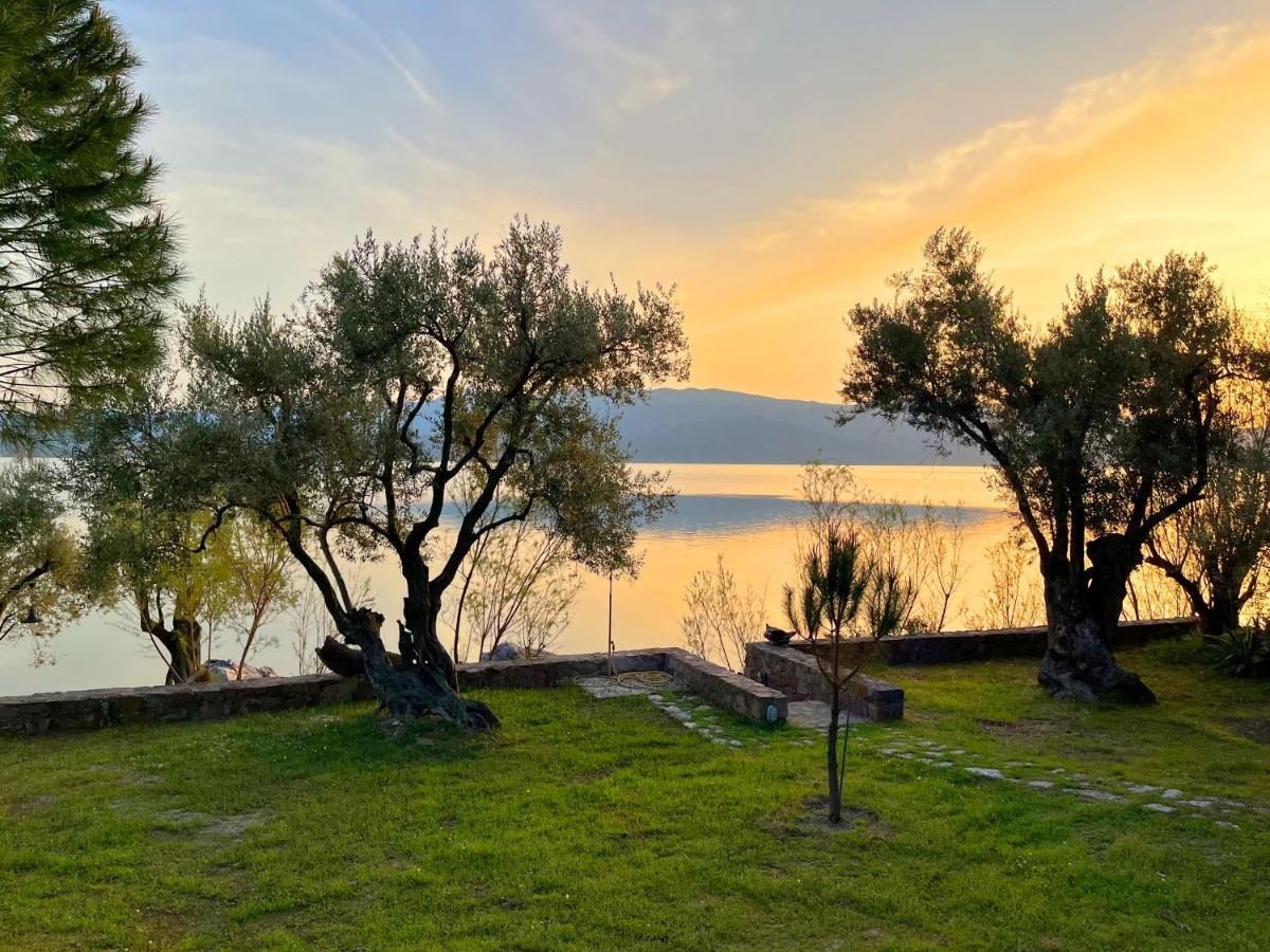 Willa Seafront Traditional Stone House In Sunset Olive Grove - B Alyfanta Zewnętrze zdjęcie