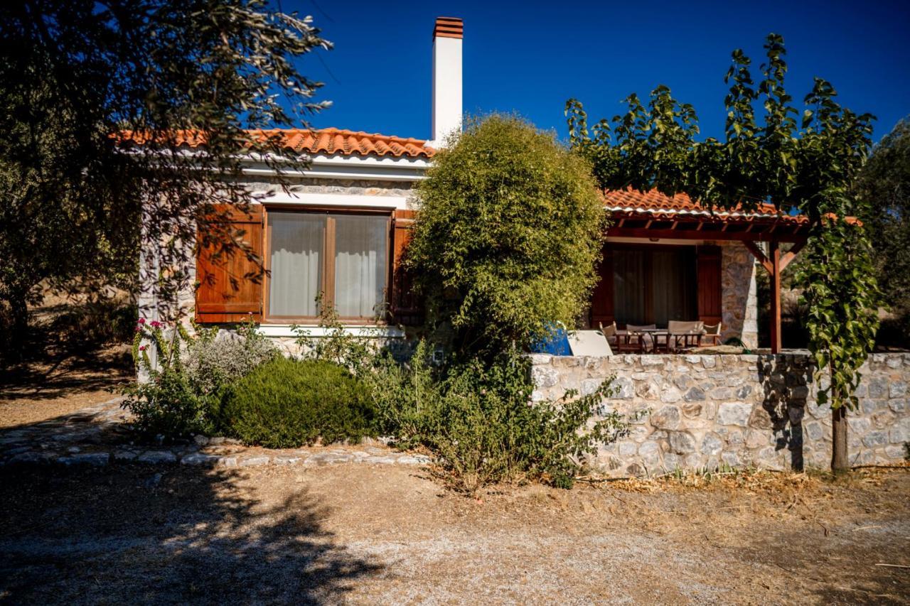 Seafront Traditional Stone House In Sunset Olive Grove - B Alyfanta Zewnętrze zdjęcie