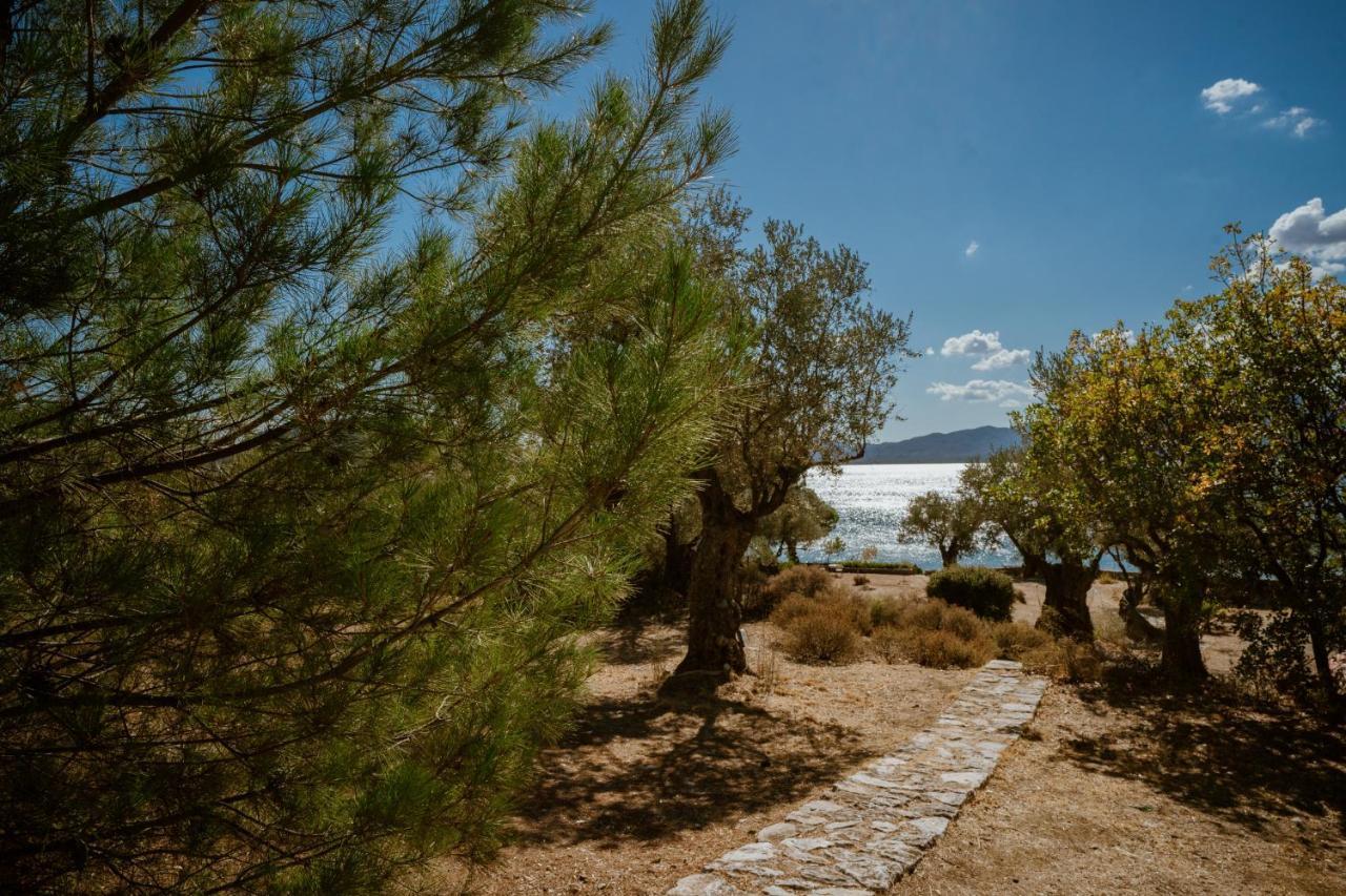 Seafront Traditional Stone House In Sunset Olive Grove - B Alyfanta Zewnętrze zdjęcie