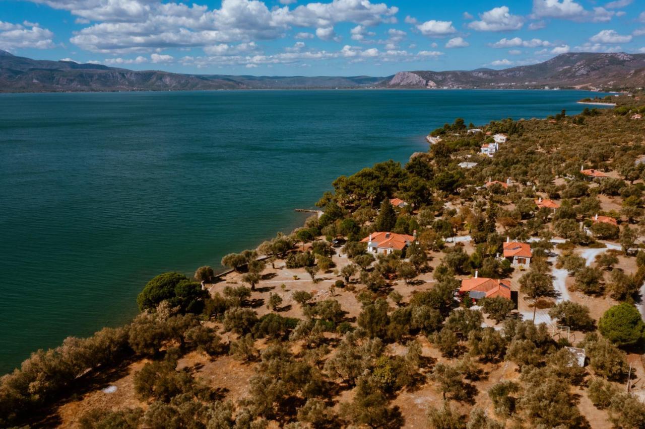 Seafront Traditional Stone House In Sunset Olive Grove - B Alyfanta Zewnętrze zdjęcie